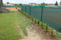 Obnova ivho plotu v tenisovm arelu